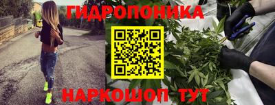 стафф Чапаевск