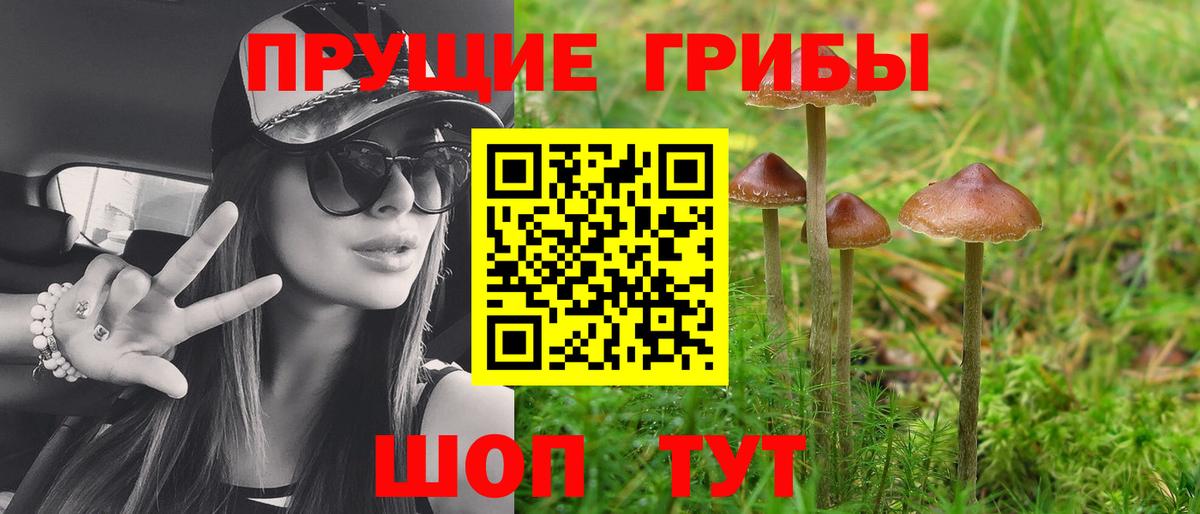 Кувандык  Галлюциногенные грибы GOLDEN TEACHER  Вход с VPN 