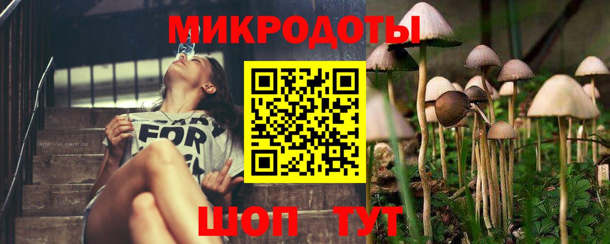 Псилоцибиновые грибы мицелий Кувандык