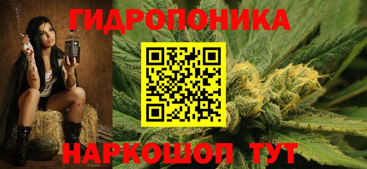 Конопля семена  Вход с VPN  Конопля AK-47  Кувандык 